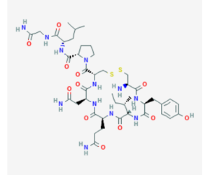 oxytocin structure