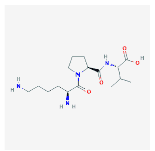 KPV Structure