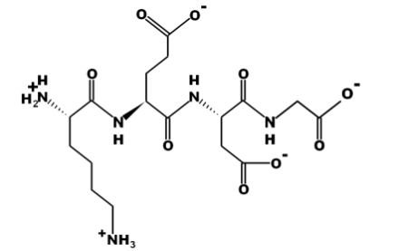 testagen structure